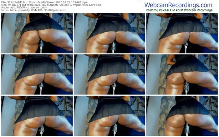2025/02/22/stripchat-merliasomer-16-34-10