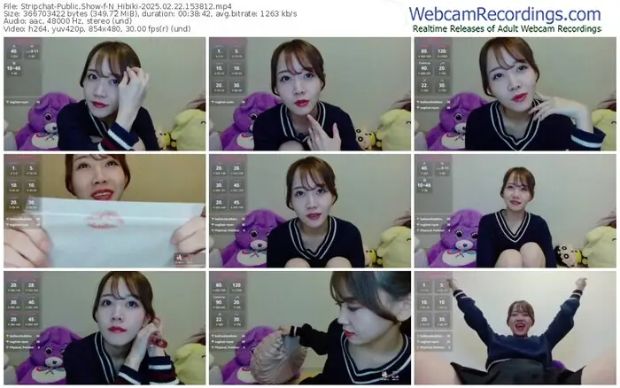 2025/02/22/stripchat-n_hibiki-15-38-12