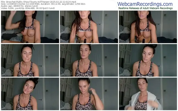 2025/02/22/stripchat-busty-milf-harper-11-41-24