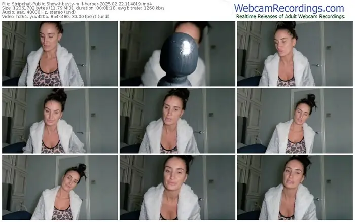2025/02/22/stripchat-busty-milf-harper-11-48-19