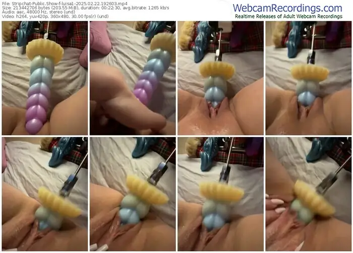 2025/02/22/stripchat-luisa1-19-26-03