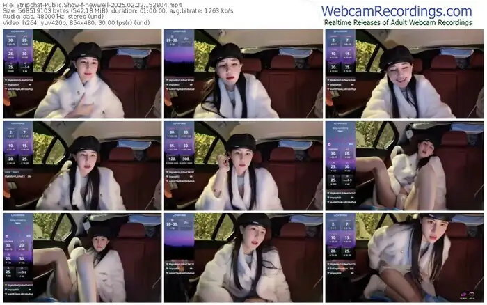 2025/02/22/stripchat-newwell-15-28-04