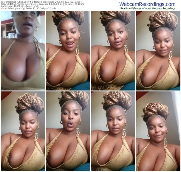 2025/02/22/stripchat-sidechick-experience-07-52-13