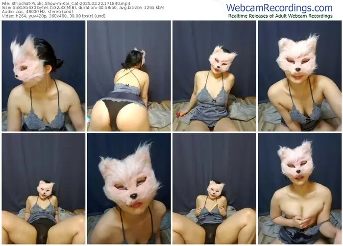 2025/02/22/stripchat-kor_cat-17-18-40
