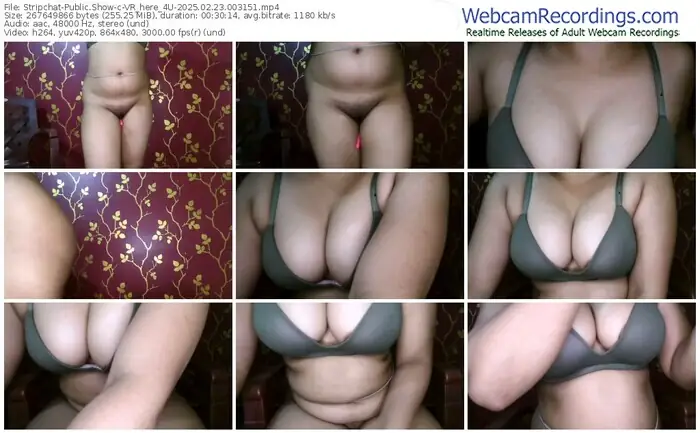 2025/02/23/stripchat-vr_here_4u-00-31-51