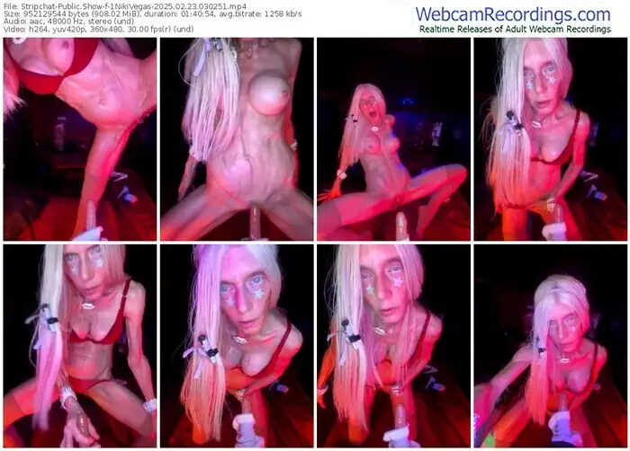 2025/02/23/stripchat-1nikivegas-03-02-51