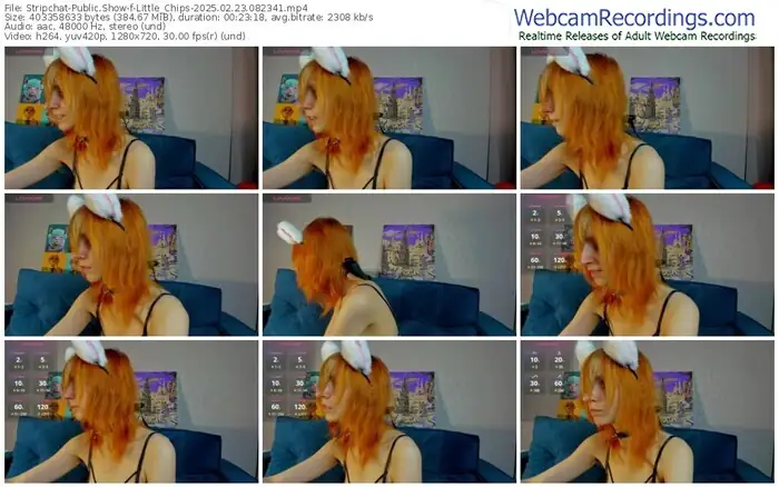 2025/02/23/stripchat-little_chips-08-23-41