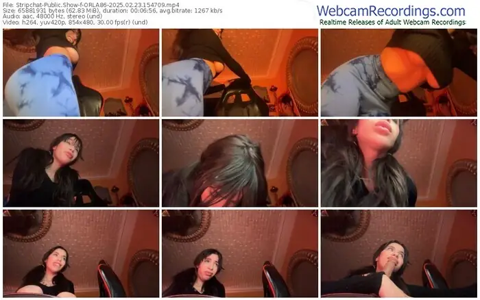 2025/02/23/stripchat-orla86-15-47-09