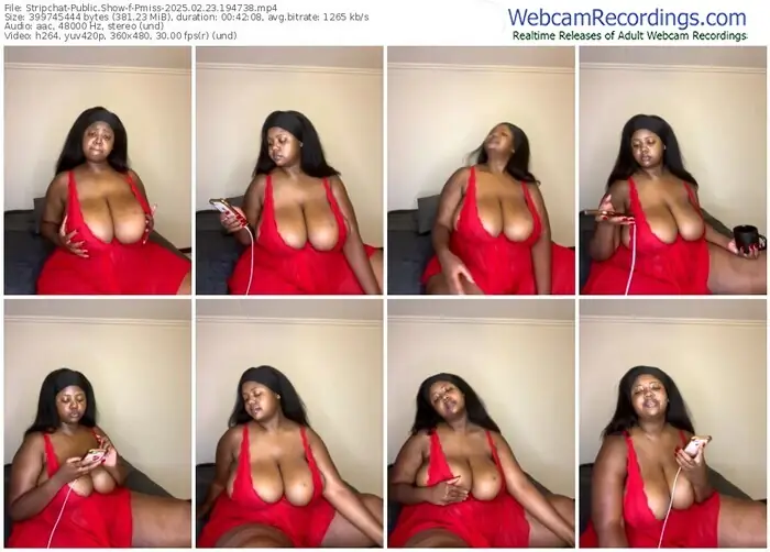 2025/02/23/stripchat-pmiss-19-47-38