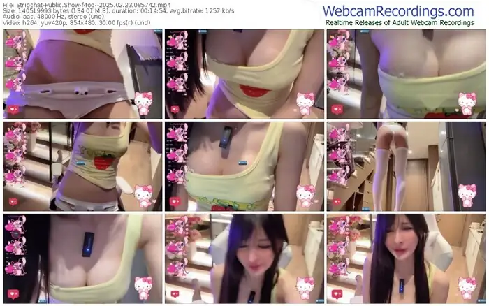 2025/02/23/stripchat-fog--08-57-42