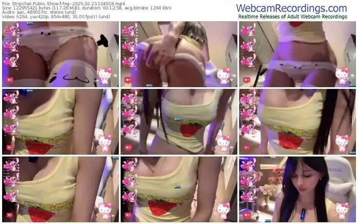 2025/02/23/stripchat-fog--10-49-18