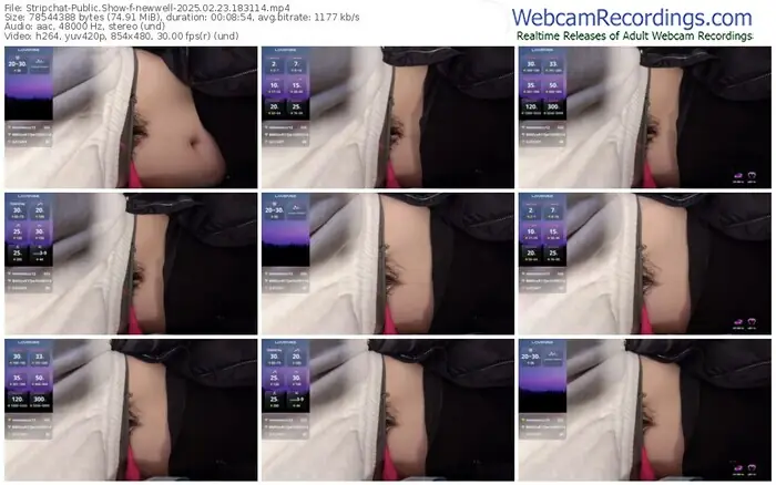 2025/02/23/stripchat-newwell-18-31-14