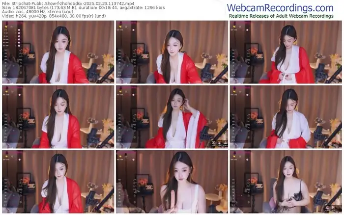 2025/02/23/stripchat-zhdhdbdkx-11-37-42