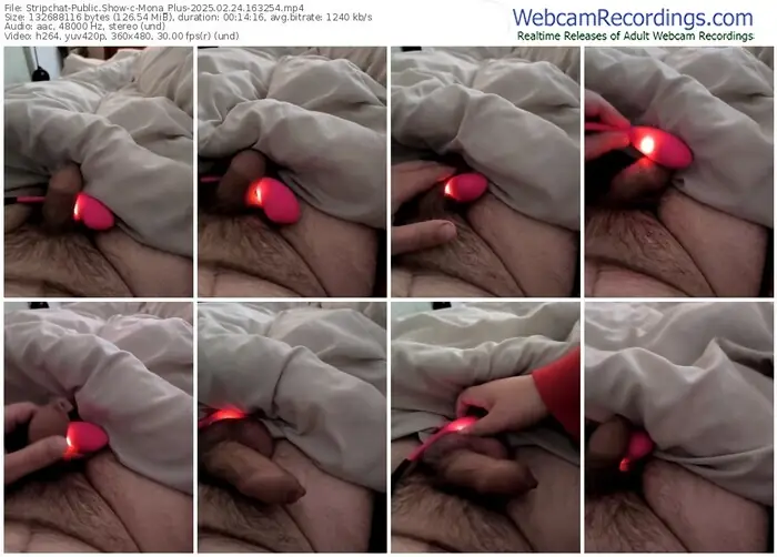 2025/02/24/stripchat-mona_plus-16-32-54