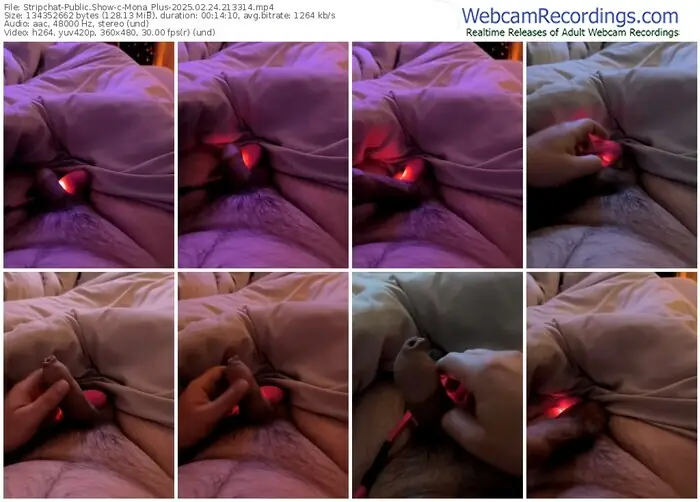 2025/02/24/stripchat-mona_plus-21-33-14