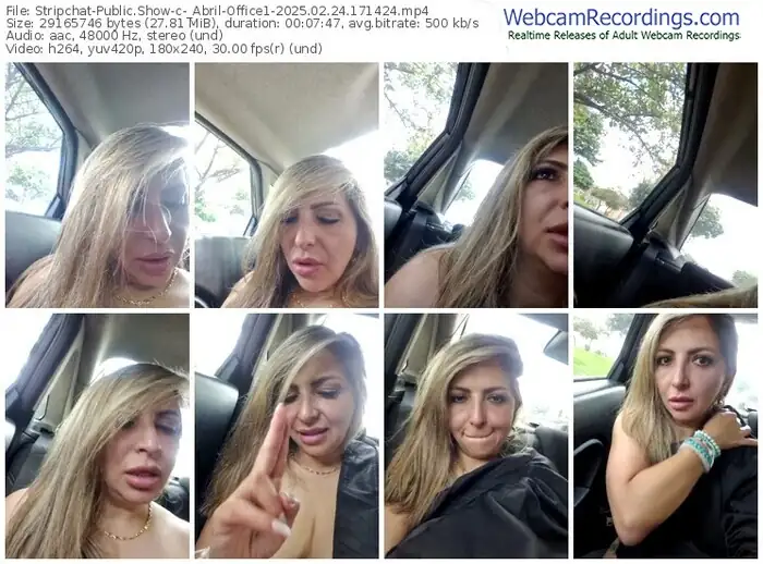 2025/02/24/stripchat-_abril-office1-17-14-24