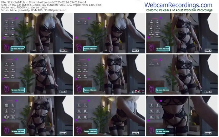 2025/02/24/stripchat-holl1would-03-45-18