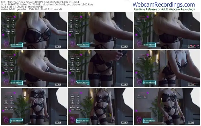 2025/02/24/stripchat-holl1would-03-46-31