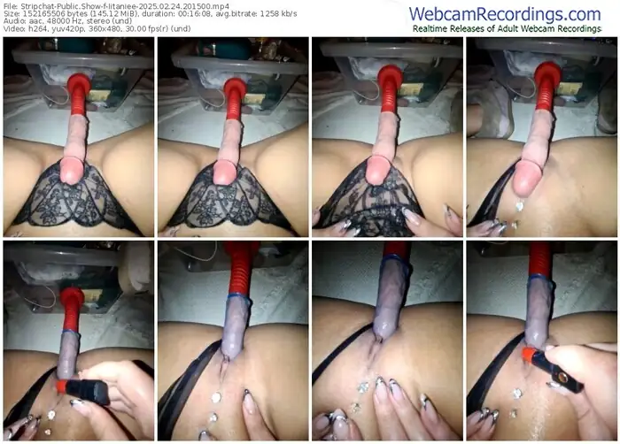 2025/02/24/stripchat-iitaniee-20-15-00