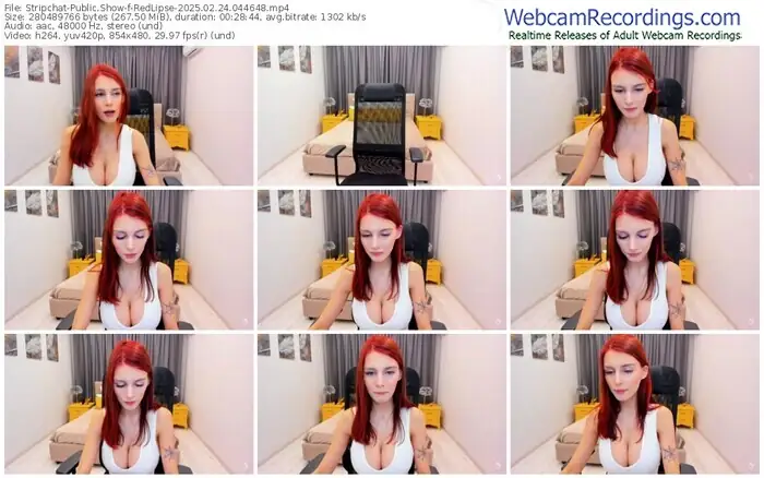 2025/02/24/stripchat-redlipse-04-46-48