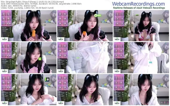 2025/02/24/stripchat-sheep-1-13-02-29