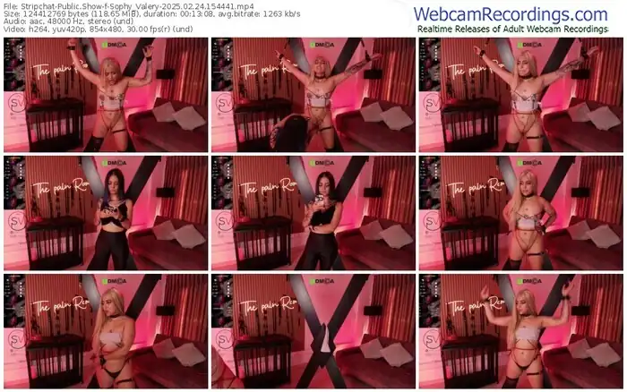 2025/02/24/stripchat-sophy_valery-15-44-41