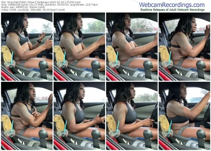 2025/02/24/stripchat-zadaraye-17-52-02