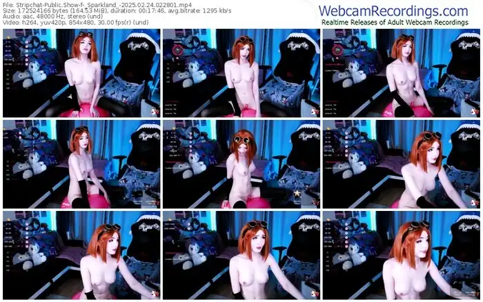 2025/02/24/stripchat-_sparkland_-02-28-01