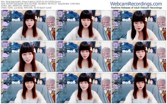 2025/02/24/stripchat-a0513-15-55-19