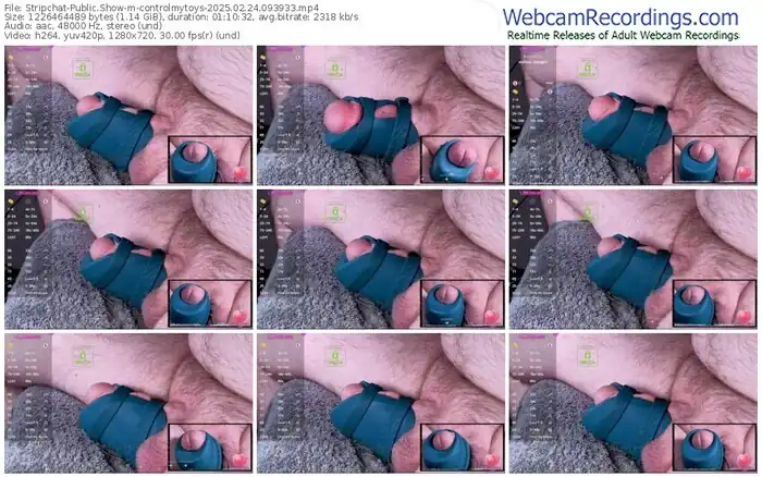 2025/02/24/stripchat-controlmytoys-09-39-33