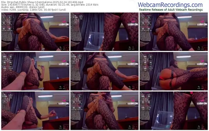 2025/02/24/stripchat-denisalome-16-14-08