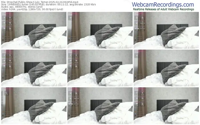 2025/02/24/stripchat-july_terner-09-24-56
