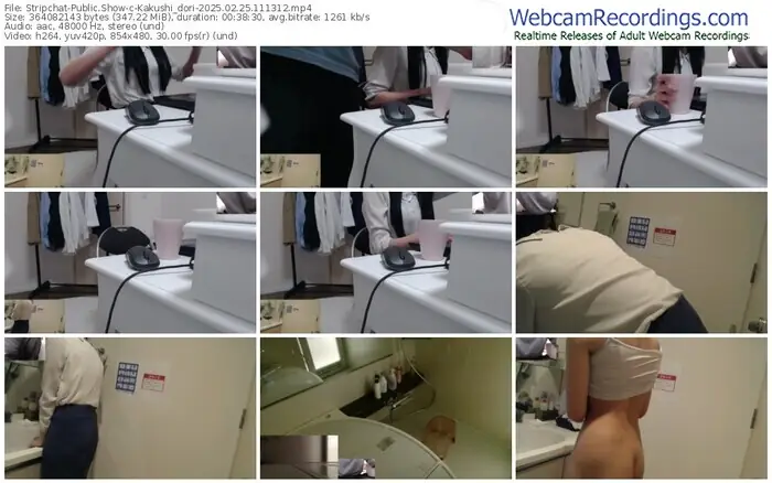 2025/02/25/stripchat-kakushi_dori-11-13-12