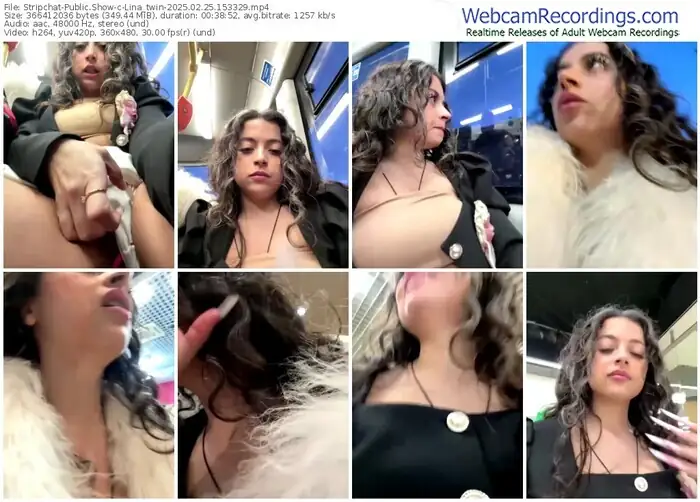 2025/02/25/stripchat-lina_twin-15-33-29