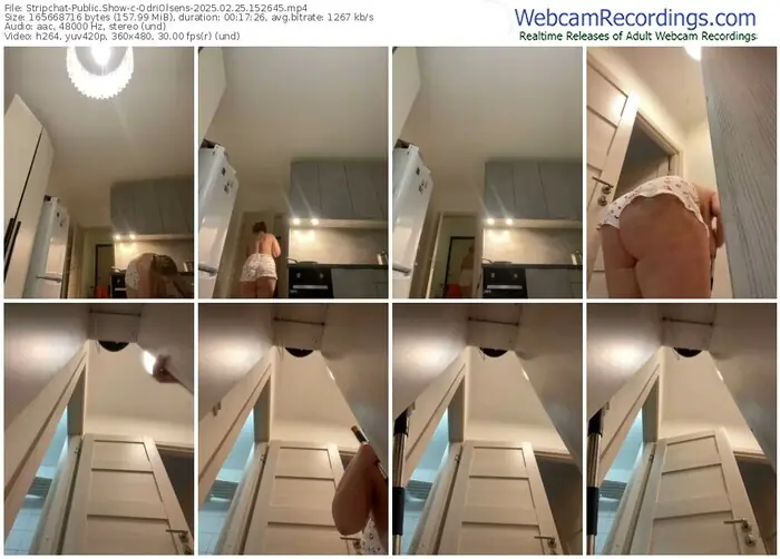 2025/02/25/stripchat-odriolsens-15-26-45