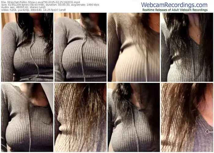 2025/02/25/stripchat-eva750-18-20-31