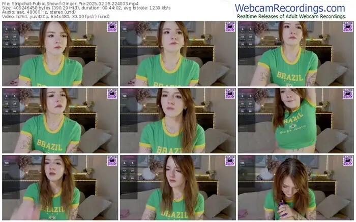 2025/02/25/stripchat-ginger_pie-22-40-03