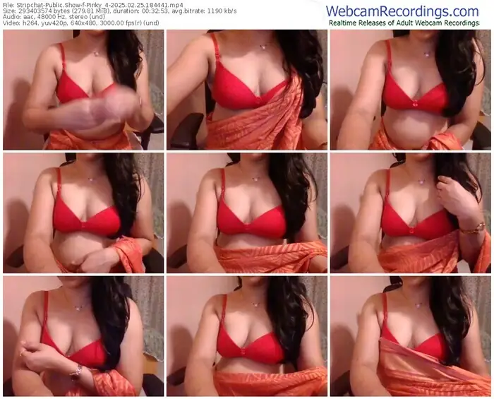 2025/02/25/stripchat-pinky_4-18-44-41