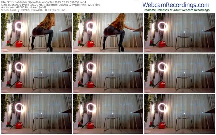2025/02/25/stripchat-viviencarter-09-08-52