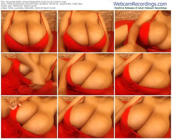 2025/02/26/stripchat-bigasstitt-13-29-27