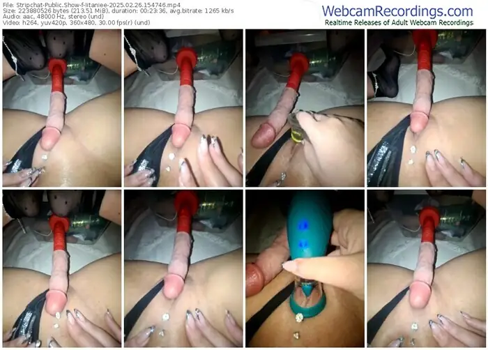 2025/02/26/stripchat-iitaniee-15-47-46