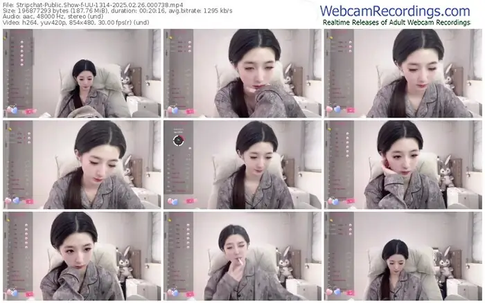 2025/02/26/stripchat-uu-1314-00-07-38