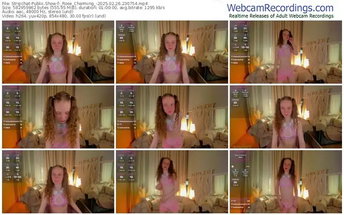 2025/02/26/stripchat-_rose_charming_-23-07-54
