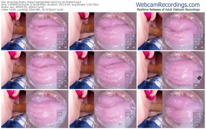 2025/02/26/stripchat-danigirl866-05-45-05