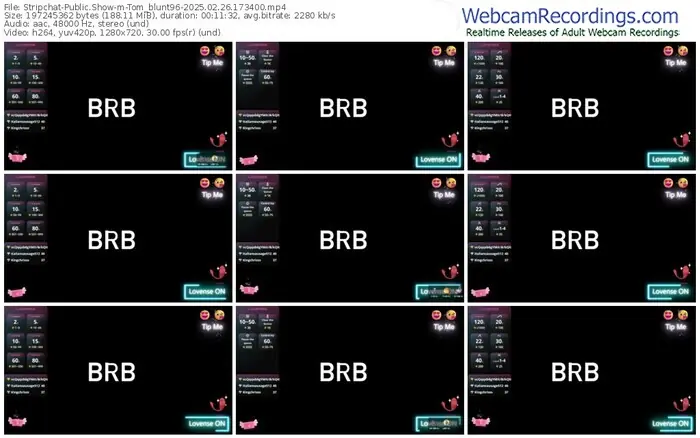 2025/02/26/stripchat-tom_blunt96-17-34-00