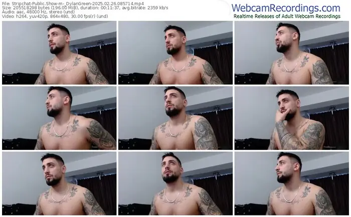 2025/02/26/stripchat-_dylangreen-08-57-14