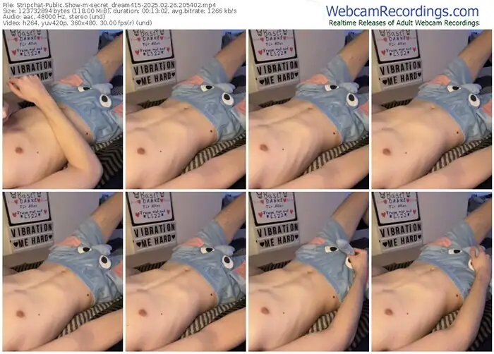 2025/02/26/stripchat-secret_dream415-20-54-02