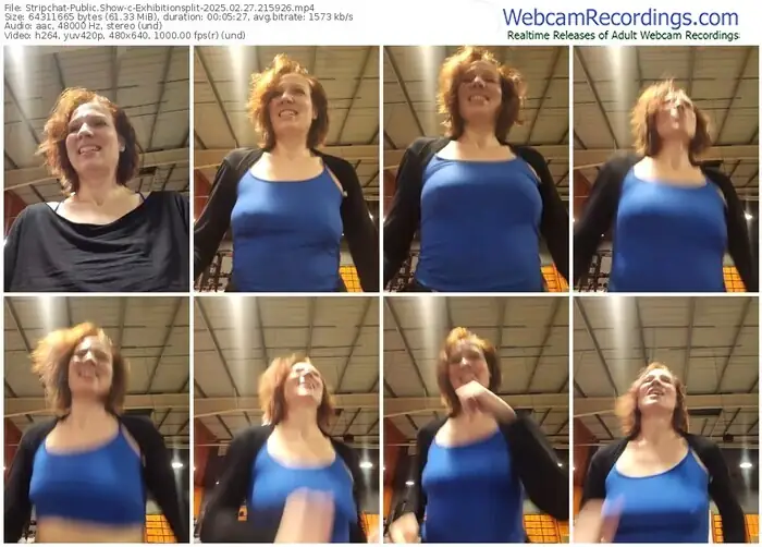 2025/02/27/stripchat-exhibitionsplit-21-59-26