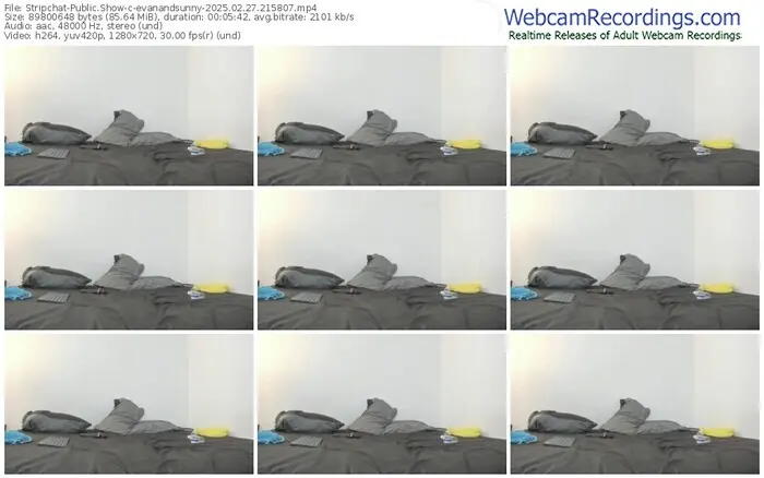 2025/02/27/stripchat-evanandsunny-21-58-07