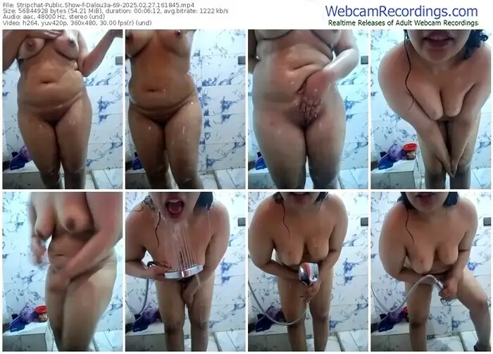 2025/02/27/stripchat-dalou3a-69-16-18-45